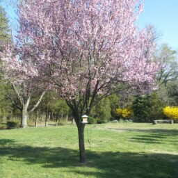 Sonya Clements Photo 8