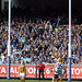 Shane Chapman Photo 47