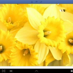 Brenda Dunn Photo 44