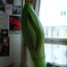 Amarylis Smith Photo 10