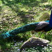 Michelle Peacock Photo 20