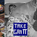 Amy Gantt Photo 3