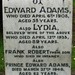 Lydia Edwards Photo 19