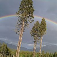 Joseph Loyer Photo 5