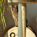 Amy Grau Photo 15