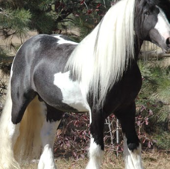 Janet Putz Photo 6