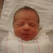 Nicholas Giovanni Photo 2