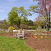 Barbara Elms Photo 10