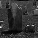 Daniel Christman Photo 4