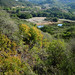 Rocky Robles Photo 18