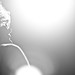 Chris Combs Photo 13