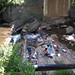 Randall Hardy Photo 11