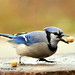 Jay Sutton Photo 26