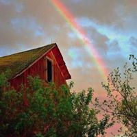 Donna Larson Photo 30
