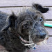 Jackie Trimmer Photo 5