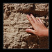Kelly Hand Photo 12