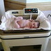 Julia Beatty Photo 35