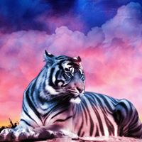 Anna Tiger Photo 4