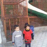 Muhammad Bashir Photo 29
