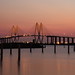 Fred Long Photo 13