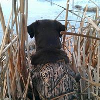 Andy Wiley Photo 7