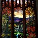 Tiffany Forest Photo 17