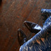 Jameson Wood Photo 15
