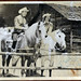 Roy Rodgers Photo 23