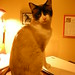 Linda Byrd Photo 25