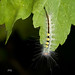 Mark Noland Photo 16