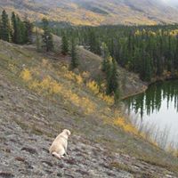 Lori Moulton Photo 21