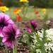 Ruth Flowers Photo 29
