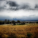 Gregory Hill Photo 21
