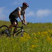 Adam Meeks Photo 15