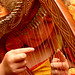 Robin Harp Photo 15