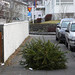 David Bergmann Photo 3
