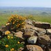 Edna Hill Photo 17