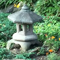 Susan Fredericks Photo 11