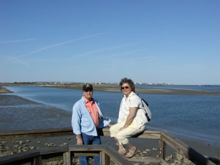 Kathy Patton Photo 1