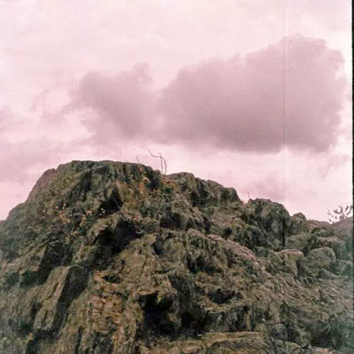 Wesley Robinson Photo 31