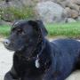 Tracy Pierson Photo 29
