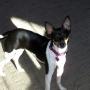 Patti Robison Photo 7