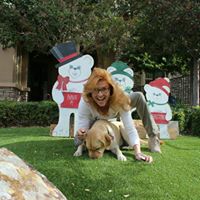 Tracey Mcmillen Photo 8