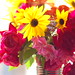 Susan Guyton Photo 10