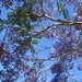 Kathy Herrington Photo 20