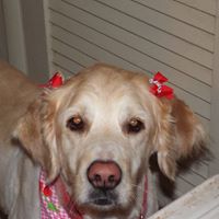 Terry Poteet Photo 6
