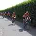 Sue Stapleton Photo 19