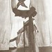 Elizabeth Coppola Photo 11
