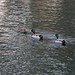 Kenneth Lake Photo 14