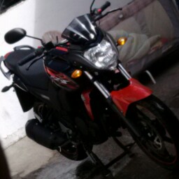 Jose Villa Photo 18